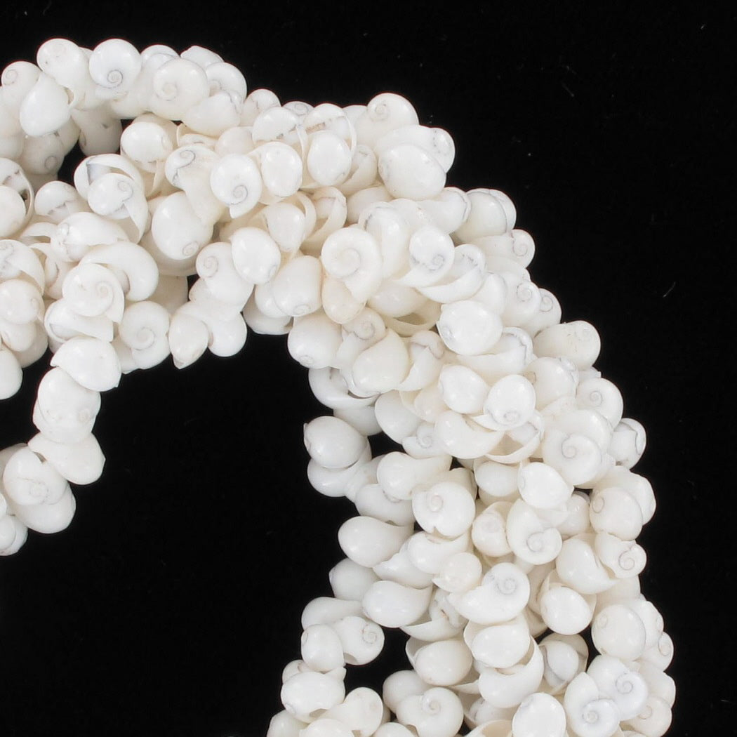 White Cluster Shells Drawstring Beaded Nantucket Surfer Bracelet 6.5-10.5"